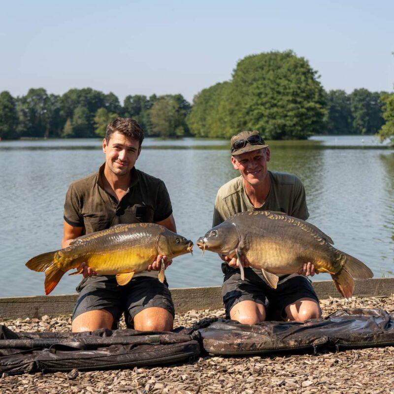 336582116_957814698929541_7340001162100951358_n (1)